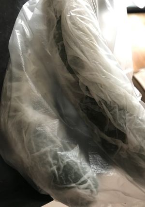きゅうり 保存-レシピのメイン写真