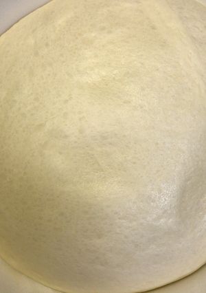 簡単なHBパンの生地-レシピのメイン写真