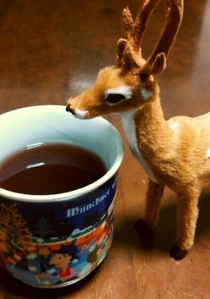 寒い日に！ほっとホットワイン♡-レシピのメイン写真