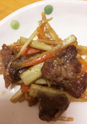 豚こま肉入りきんぴら-レシピのメイン写真