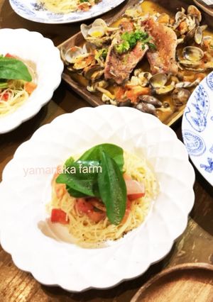しあわせのファーストトマトのカッペリーニ-レシピのメイン写真