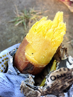 BBQコンロで焼き芋-レシピのメイン写真
