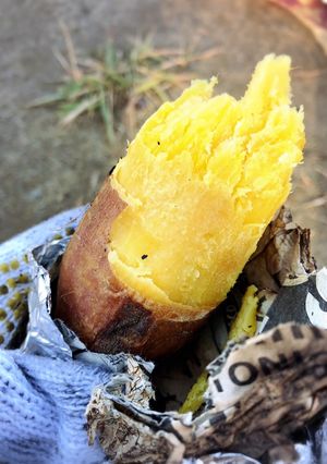 BBQコンロで焼き芋-レシピのメイン写真