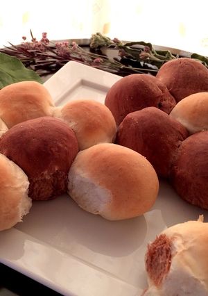 お花のココアとプレーン生地のちぎりパン♡-レシピのメイン写真