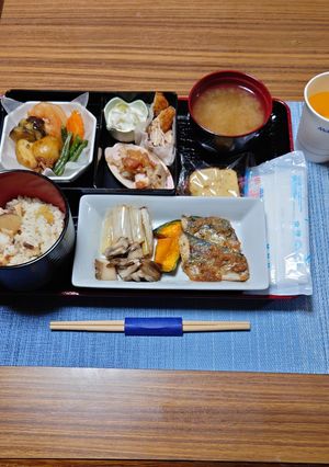 ヨウサマの減塩ANA国内線風機内食-レシピのメイン写真