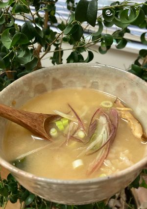 冷やし味噌汁ご飯(インスタント味噌汁)-レシピのメイン写真