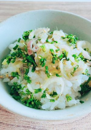 茗荷とシソの実のぶっかけご飯　秋晴れ♪-レシピのメイン写真