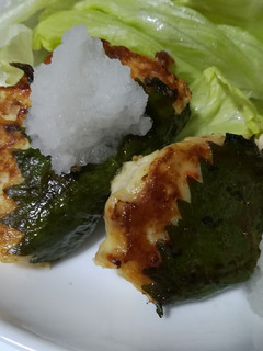 お魚嫌いに捧ぐ!豆腐ハンバーグ!-レシピのメイン写真