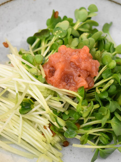 超簡単★カイワレ大根と梅肉のサラダ-レシピのメイン写真