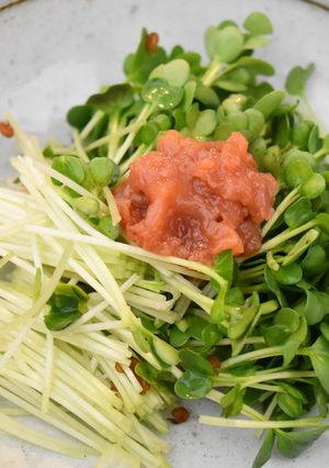 超簡単★カイワレ大根と梅肉のサラダ-レシピのメイン写真