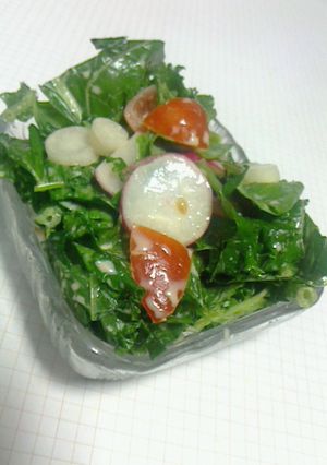 パパッとヘルシー♪ケールサラダ-レシピのメイン写真
