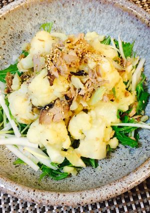 カリフラワーとなまり節炒めニンニク味-レシピのメイン写真