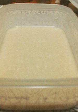 万能調味料、家族喜ぶ手作り塩麹-レシピのメイン写真