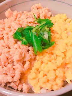 簡単!鶏と卵のそぼろ丼 お弁当にも!-レシピのメイン写真