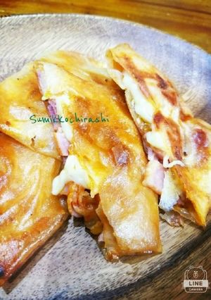 ★ピザ春巻き★-レシピのメイン写真