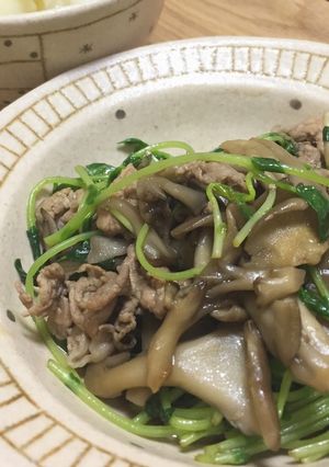 豆苗と豚肉の炒め物-レシピのメイン写真