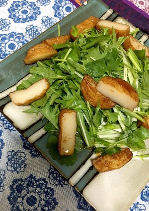水菜とパクチーとさつま揚げのサラダ♡-レシピのメイン写真