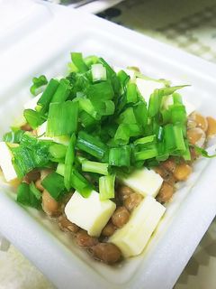 ネギチーズ納豆-レシピのメイン写真