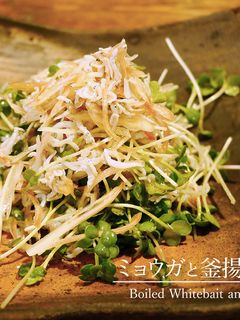 「ミョウガと釜揚げしらすのサラダ」-レシピのメイン写真