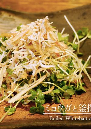 「ミョウガと釜揚げしらすのサラダ」-レシピのメイン写真