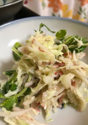 豆苗とキャベツの千切りサラダ-レシピのメイン写真