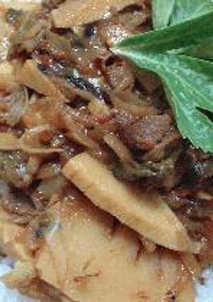 ♪筍たっぷりカレー♪-レシピのメイン写真