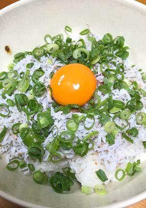 パパッと簡単！しらす丼-レシピのメイン写真