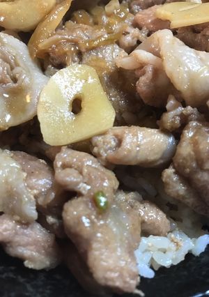 いつもの豚丼-レシピのメイン写真