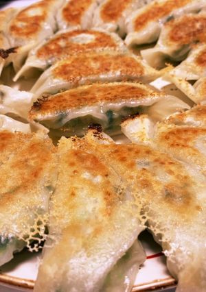 もりぞーの母ちゃんレシピ 餃子編-レシピのメイン写真