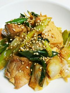 鶏肉あつあげ白ネギの味噌炒め-レシピのメイン写真
