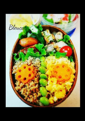 お弁当にも☆簡単！海苔鶏そぼろ丼-レシピのメイン写真