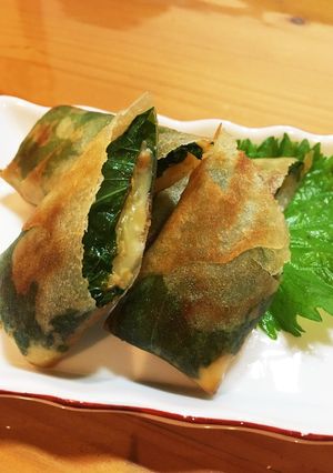おつまみにも！紫蘇チーズ納豆春巻き-レシピのメイン写真