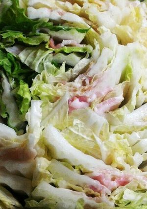 豚バラ肉と白菜のミルフィーユ鍋-レシピのメイン写真