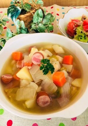 大豆野菜ウィンナーのコトコト煮込みスープ-レシピのメイン写真