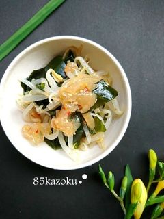 包丁いらず☆もやしとワカメと中華クラゲ-レシピのメイン写真