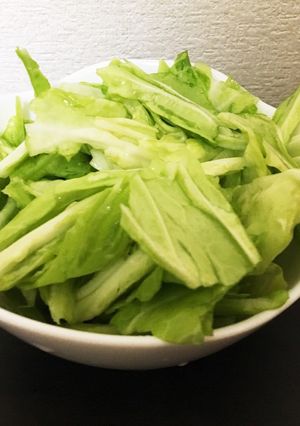 キャベツのニンニクごま油/しょうがごま油-レシピのメイン写真