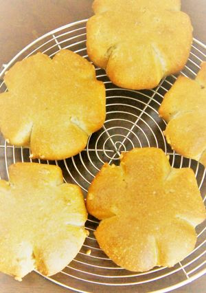くるみパン　全粒粉入り♪-レシピのメイン写真