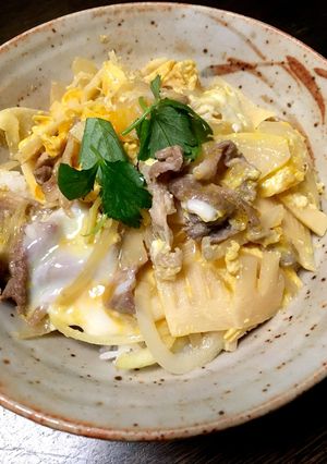 節約丼ぶり 塩麹入り豚丼-レシピのメイン写真