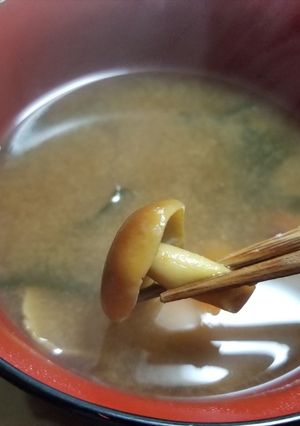 クリタケと乾燥ワカメの味噌汁-レシピのメイン写真