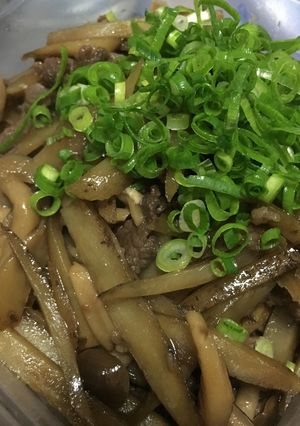 肉ごぼう-レシピのメイン写真