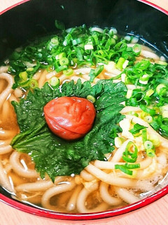 だし道楽のあごだしうどん-レシピのメイン写真