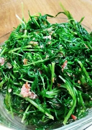 おかひじきの鰹節和え-レシピのメイン写真