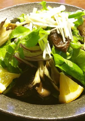 きのことルッコラのサラダ-レシピのメイン写真