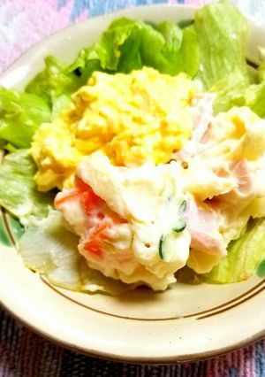 サラダいろいろSalad-レシピのメイン写真