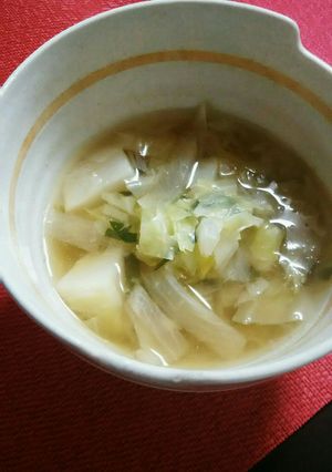 風邪引きさんにも！ネギ大根生姜スープ-レシピのメイン写真