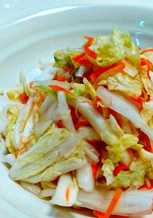 調味料2つ【白菜と人参の簡単浅漬け】-レシピのメイン写真
