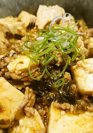 高菜入り麻婆豆腐丼-レシピのメイン写真