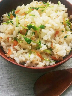豆苗と桜えび(じゃこ)のごま風味菜飯風-レシピのメイン写真