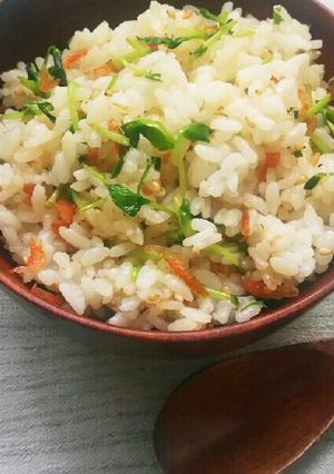 豆苗と桜えび(じゃこ)のごま風味菜飯風-レシピのメイン写真