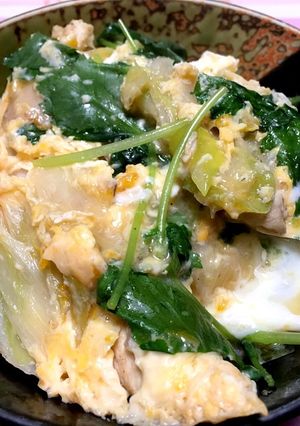 あったか親子丼-レシピのメイン写真